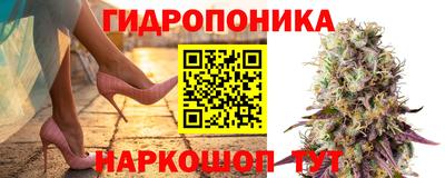 a pvp Севастополь