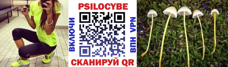 Галлюциногенные грибы Psilocybe  hydra маркетплейс  Ярцево 